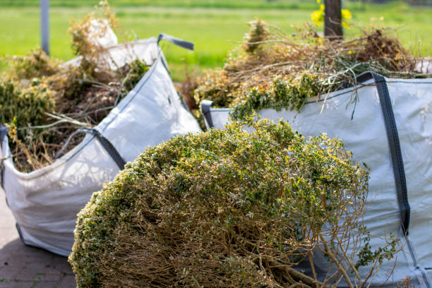 Best Full-Service Junk Removal  in Overlea, MD